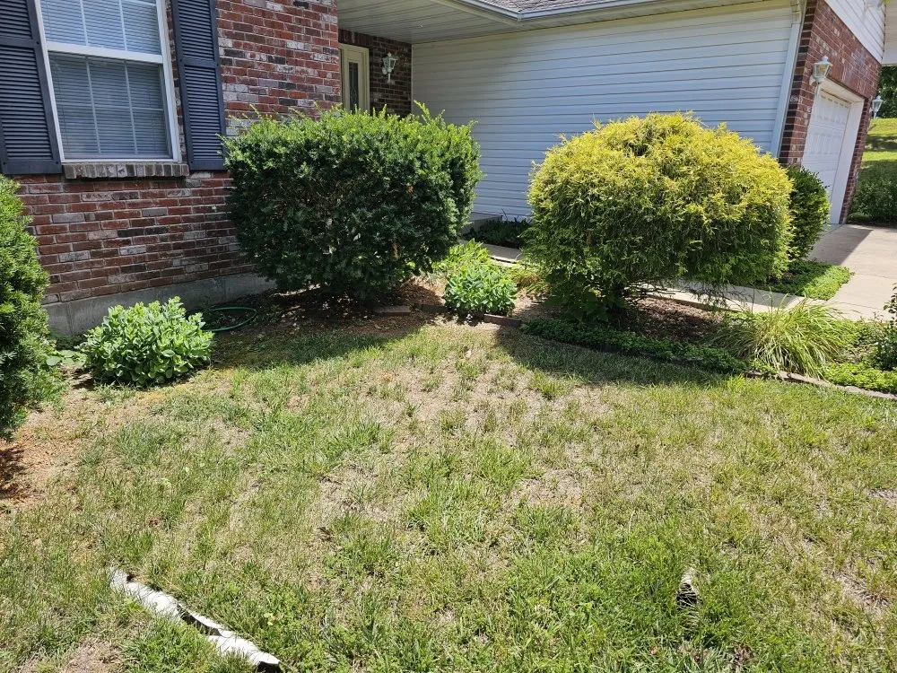 Affordable garden landscaping for residential properties across Truesdale, MO - Snyder Landscape And Cleanup