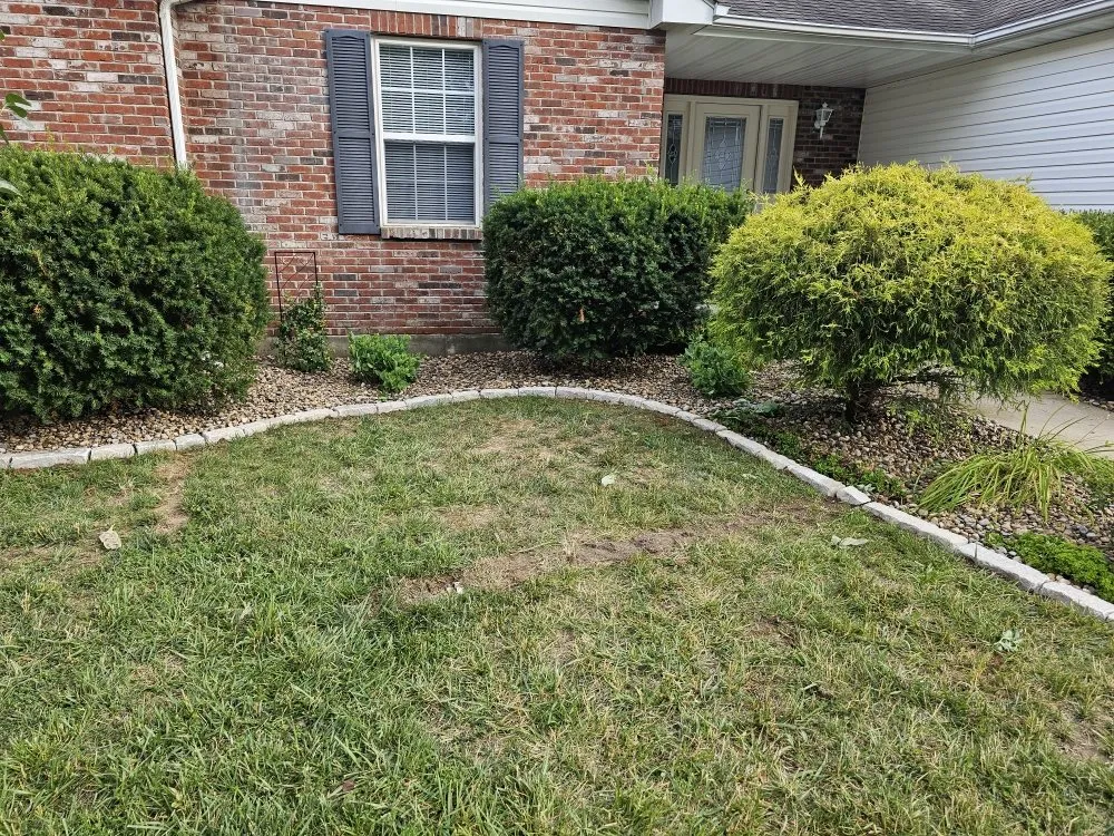 Affordable landscape design for outdoor upgrades in Truesdale, MO by Snyder Landscape And Cleanup