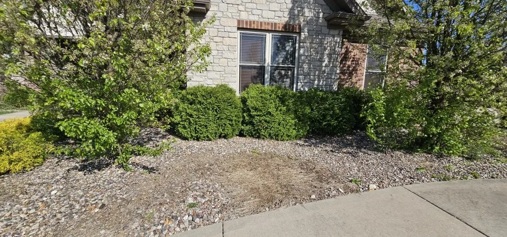 Expert landscape installation in Truesdale, MO - Snyder Landscape And Cleanup