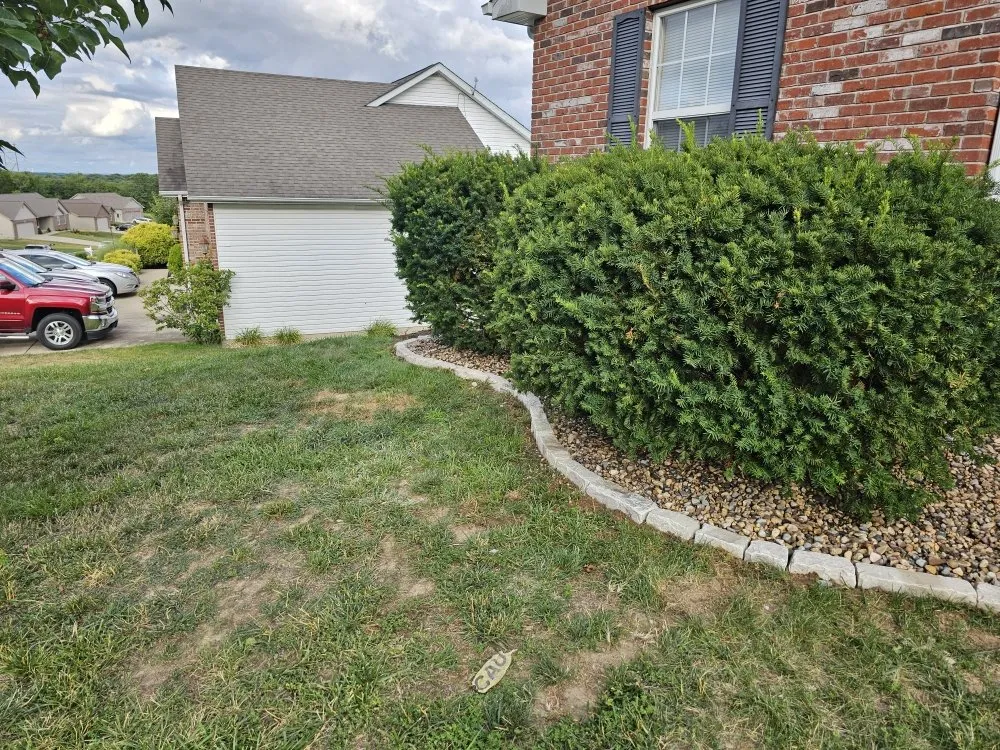 Custom landscaping services in Truesdale, MO - Snyder Landscape And Cleanup