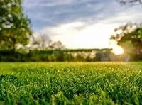 Reliable landscape installation experts serving St. Augustine, FL - Snyder Lawn Care