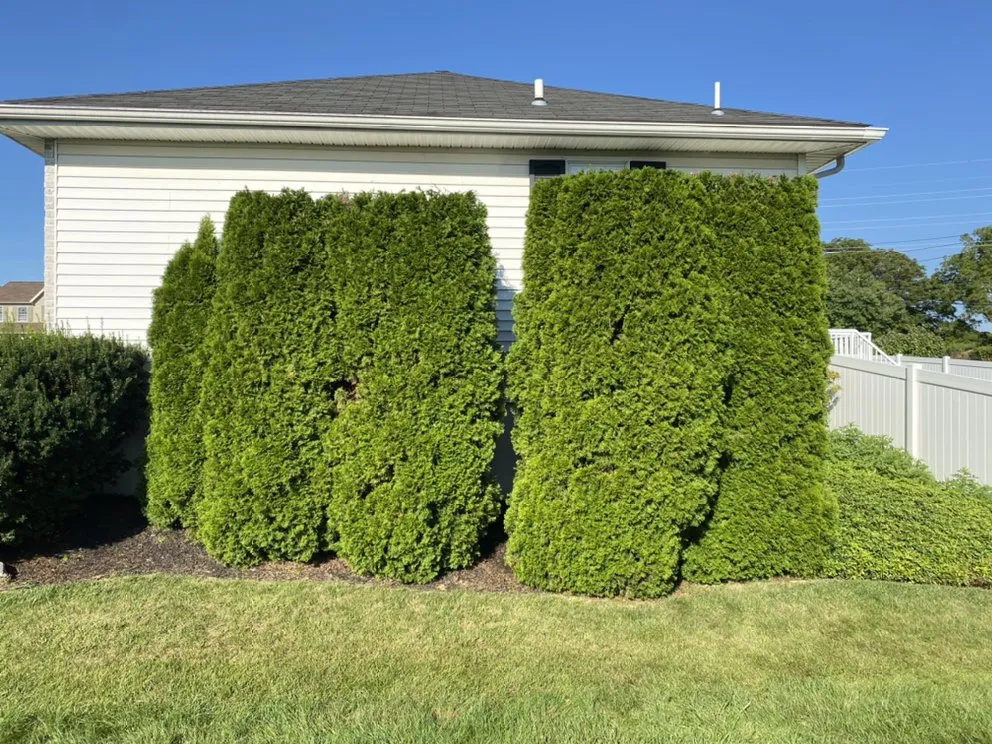 Trusted yard maintenance in Emmaus, PA by Snyder’s all season landscape