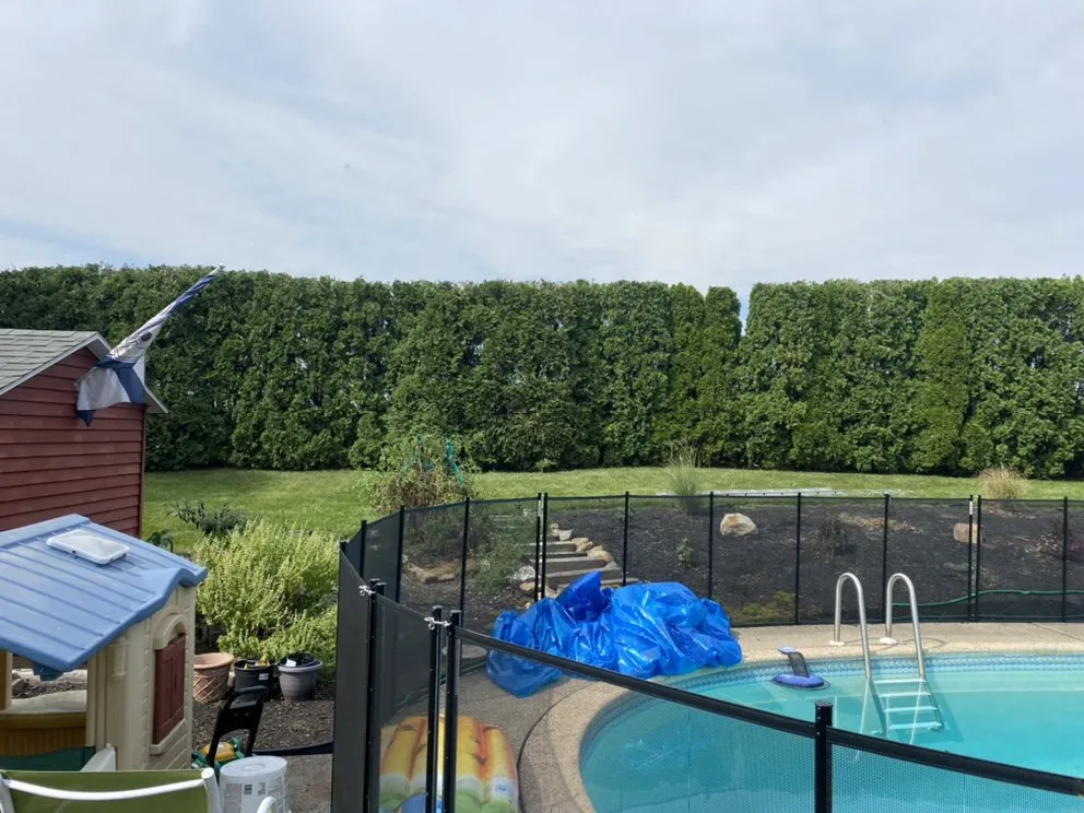 Top-rated lawn care service in Emmaus, PA by Snyder’s all season landscape