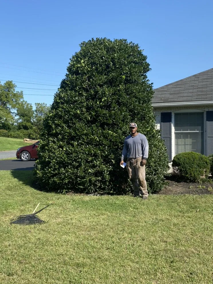 Custom lawn care service in Emmaus, PA by Snyder’s all season landscape