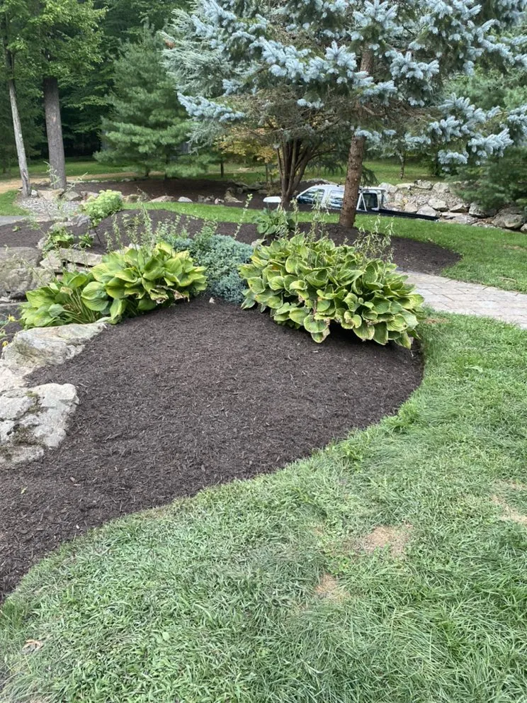 Top-rated yard cleanup service experts serving Emmaus, PA - Snyder’s all season landscape