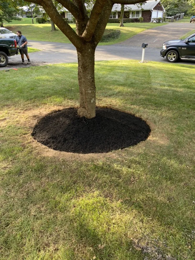 Custom residential landscaping for beautiful yards across Emmaus, PA - Snyder’s all season landscape