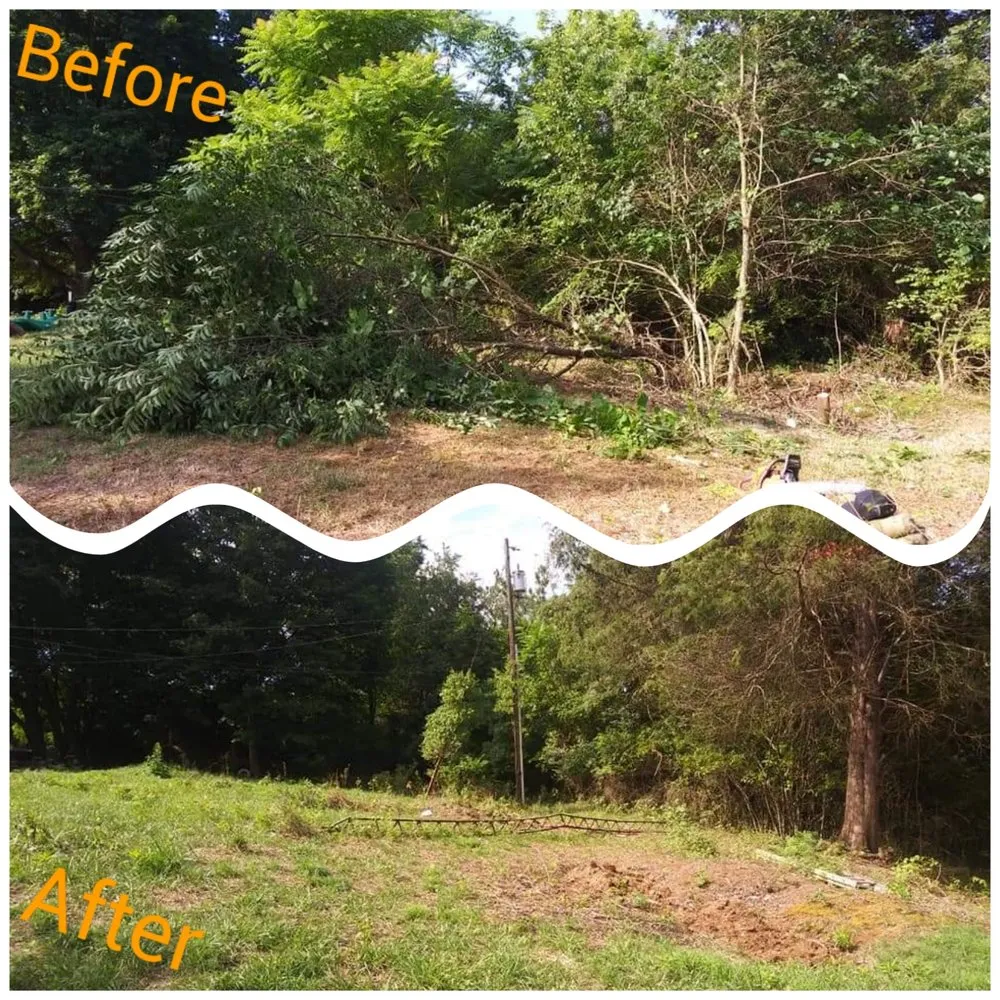 Professional landscape installation for outdoor upgrades across Hagerstown, MD - Snyder's Lawn Care