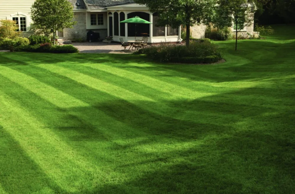 Reliable lawn mowing service in Kalamazoo, MI by Snyder's Lawn Care