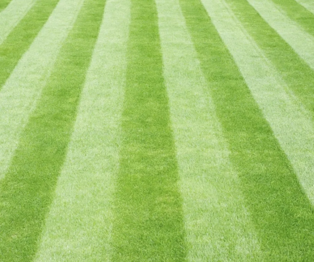 Top-rated landscape installation in Kalamazoo, MI - Snyder's Lawn Care