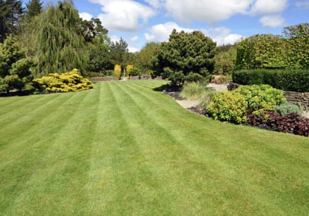 Trusted lawn care service for outdoor upgrades across Kalamazoo, MI - Snyder's Lawn Care