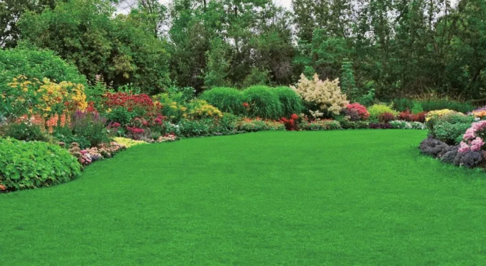 Affordable lawn care service in Kalamazoo, MI by Snyder's Lawn Care