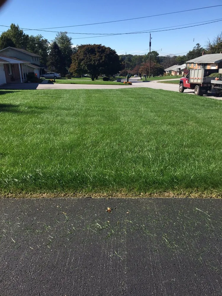 Professional yard cleanup service experts serving York, PA - Snyder's Lawn Service