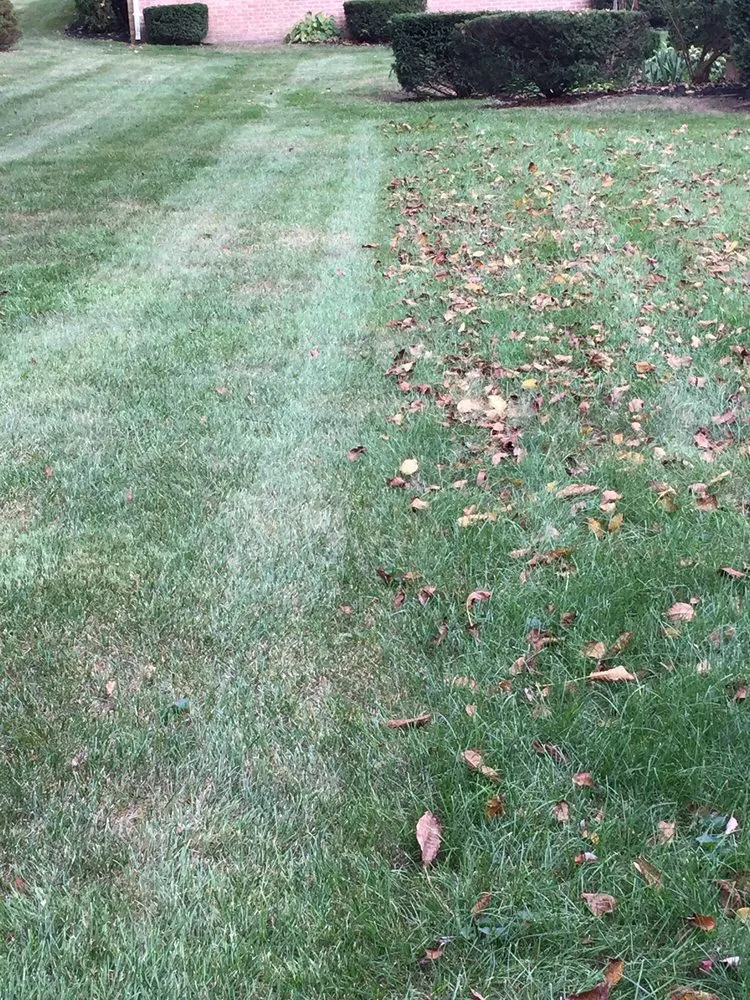 Custom residential landscaping in York, PA - Snyder's Lawn Service