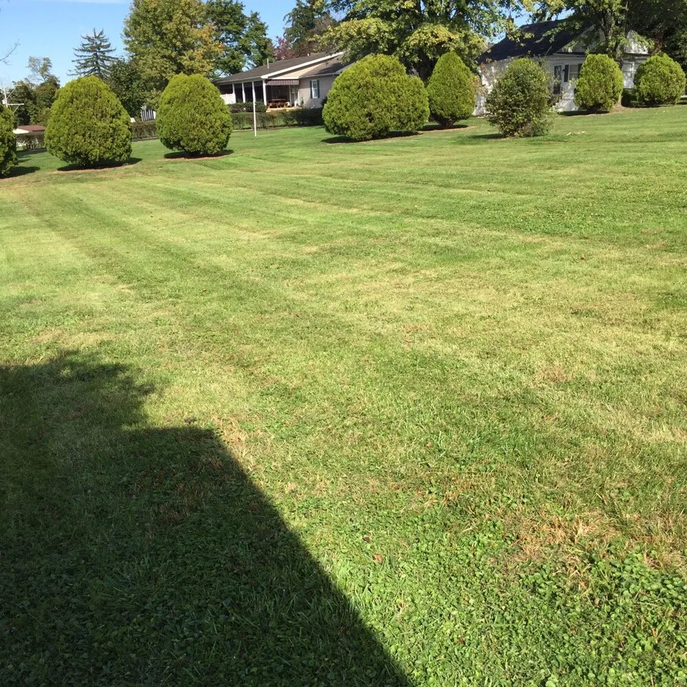 Affordable lawn care service in York, PA - Snyder's Lawn Service