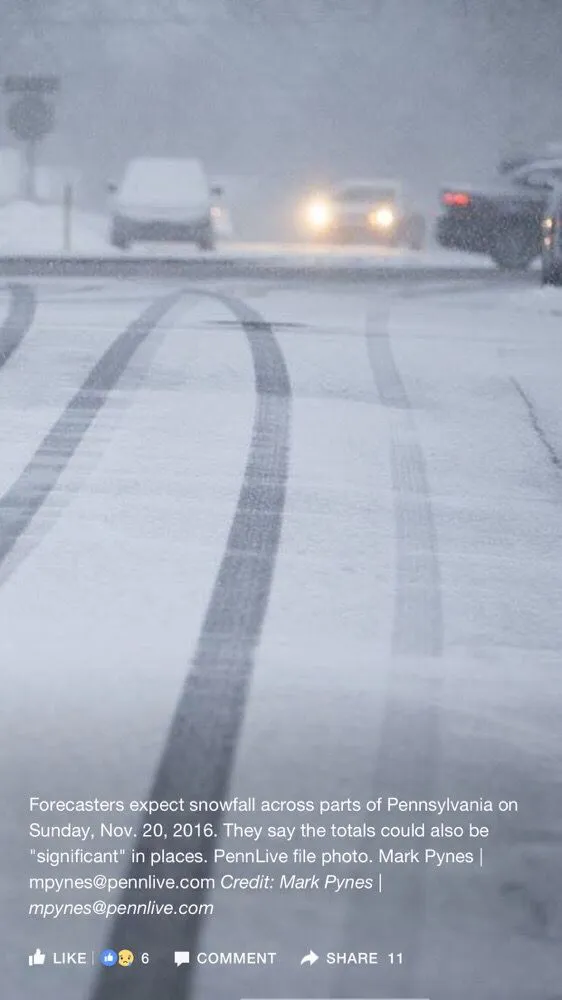 Custom outdoor landscaping for homes in York, PA by Snyder's Lawn Service