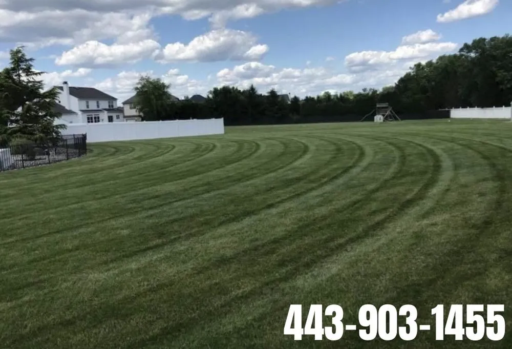 Trusted residential landscaping experts serving Joppatowne, MD - Snyder’s Lawncare