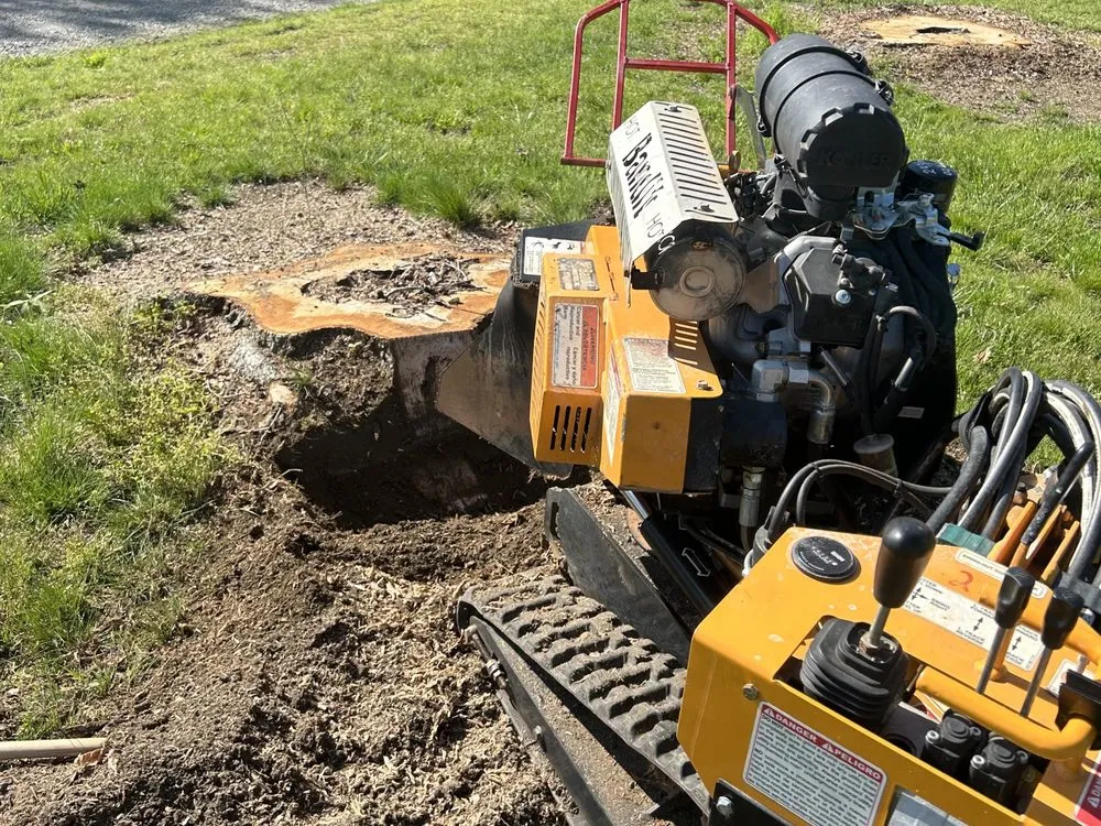 Custom lawn mowing service in Yadkinville, NC by Snyders Stump Grinding