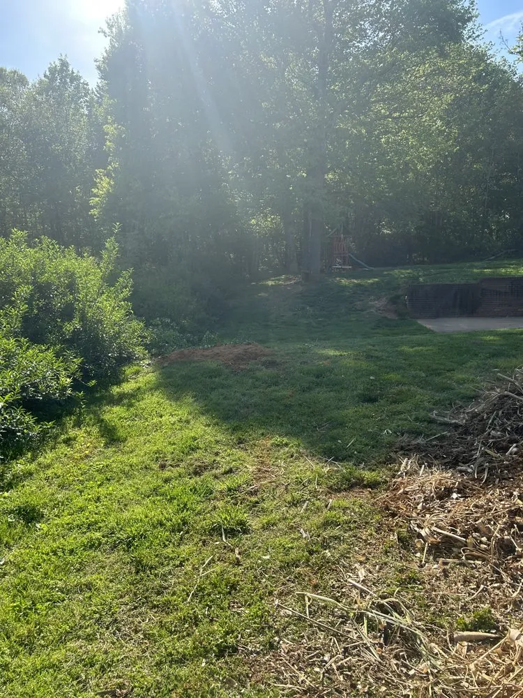 Trusted landscape installation in Yadkinville, NC - Snyders Stump Grinding