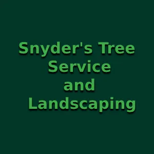 Trusted outdoor landscaping in Truesdale, MO by Snyder's Tree Service and Landscaping