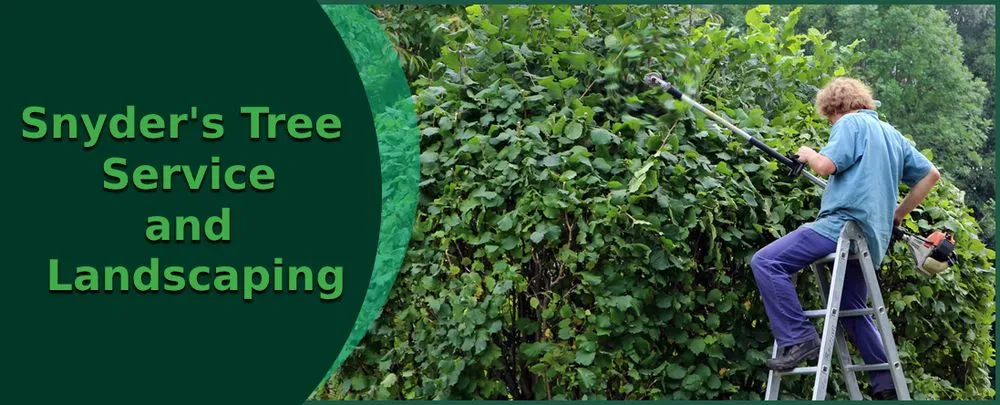 Local landscape design for homes in Truesdale, MO by Snyder's Tree Service and Landscaping