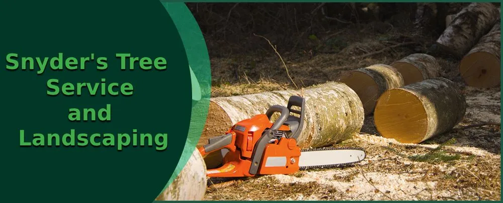 Local outdoor landscaping experts serving Truesdale, MO - Snyder's Tree Service and Landscaping