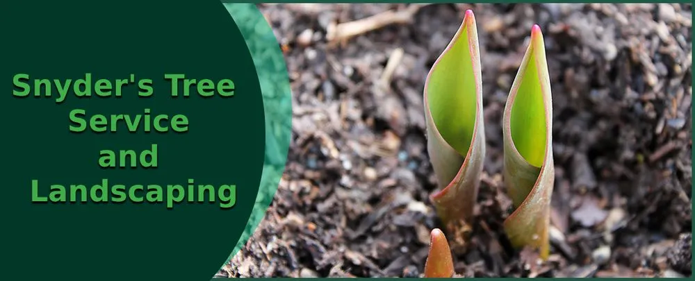 Affordable residential landscaping for residential properties in Truesdale, MO by Snyder's Tree Service and Landscaping