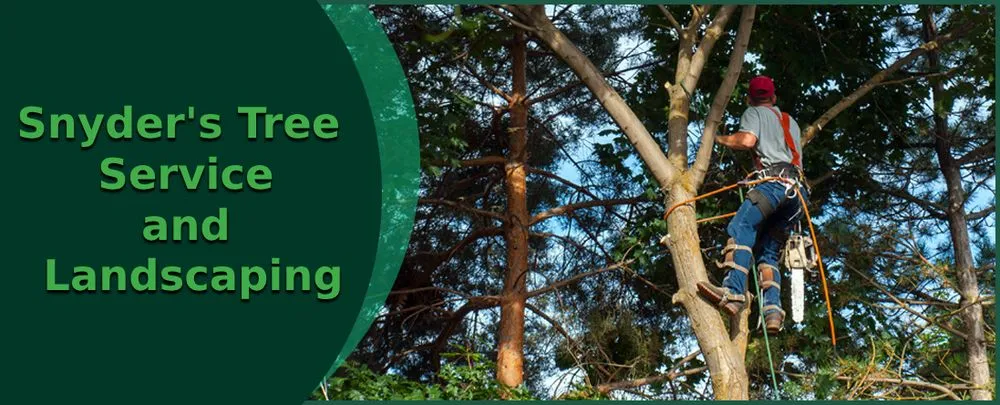 Local lawn care service in Truesdale, MO by Snyder's Tree Service and Landscaping
