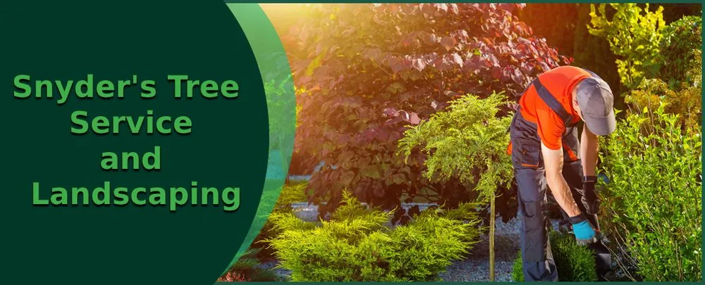 Expert residential landscaping in Truesdale, MO - Snyder's Tree Service and Landscaping