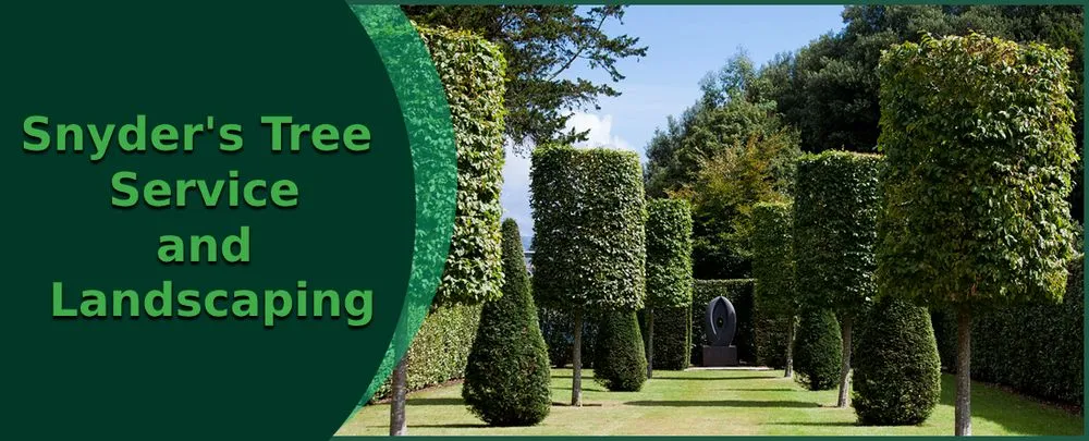 Expert landscape installation for year-round maintenance in Truesdale, MO by Snyder's Tree Service and Landscaping