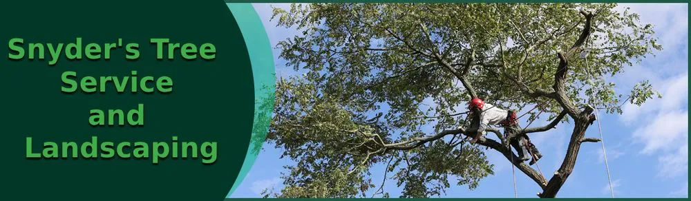 Expert landscape design in Truesdale, MO - Snyder's Tree Service and Landscaping
