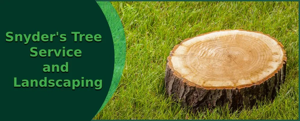 Custom yard cleanup service for outdoor upgrades across Truesdale, MO - Snyder's Tree Service and Landscaping