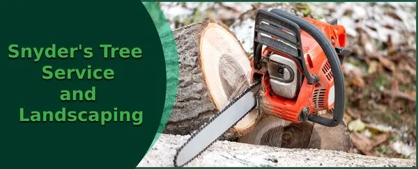 Snyder's Tree Service and Landscaping Logo