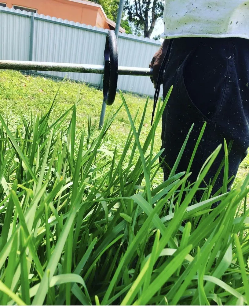 Custom yard cleanup service for year-round maintenance in Hollywood, FL by So Blessed Landscaping