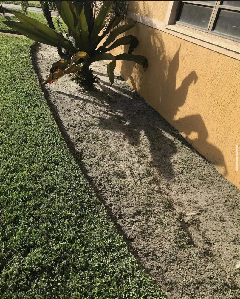 Expert garden landscaping in Hollywood, FL by So Blessed Landscaping