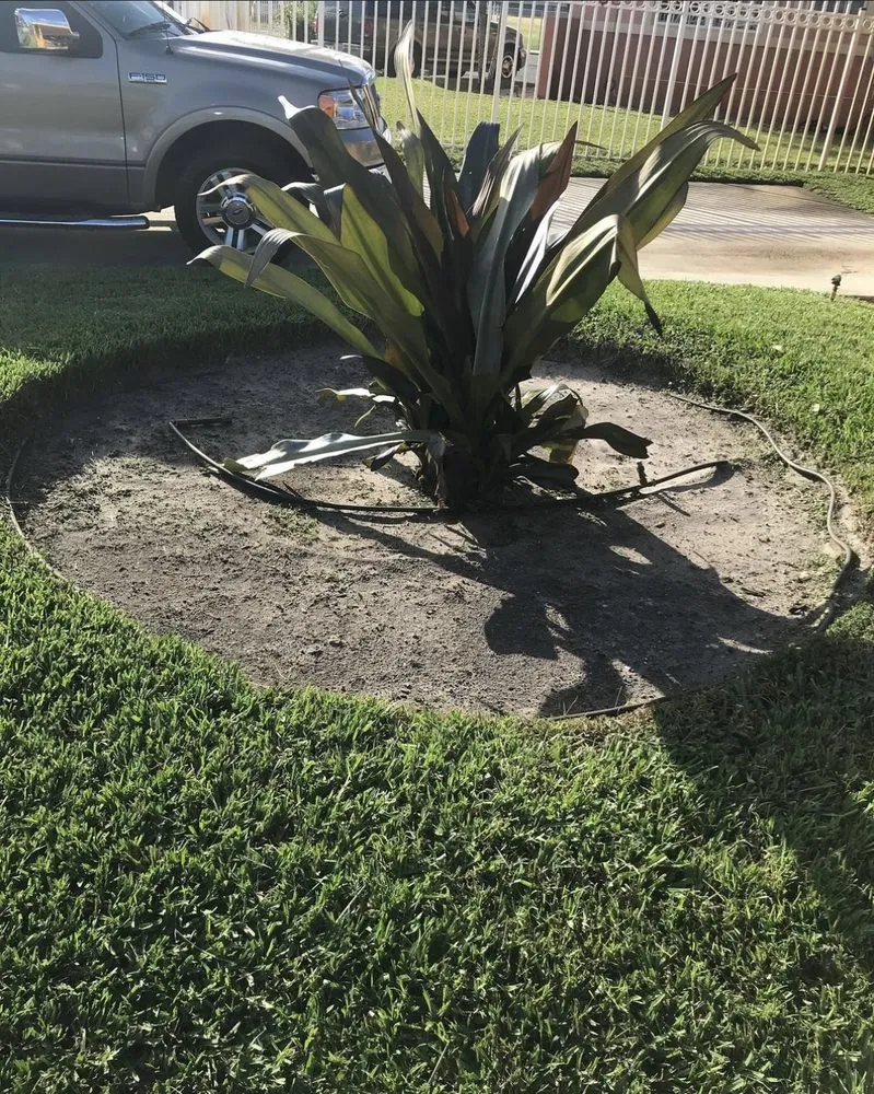 Affordable yard maintenance in Hollywood, FL - So Blessed Landscaping