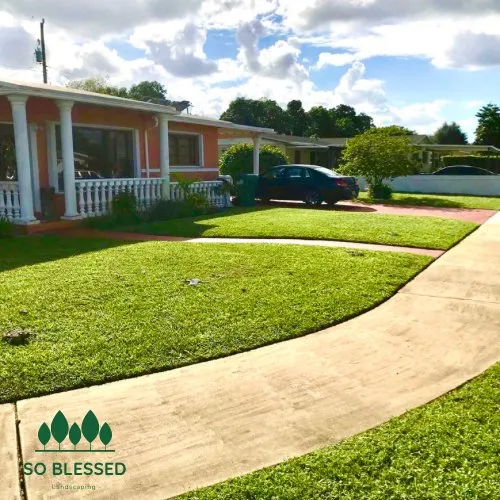 Expert lawn mowing service experts serving Hollywood, FL - So Blessed Landscaping