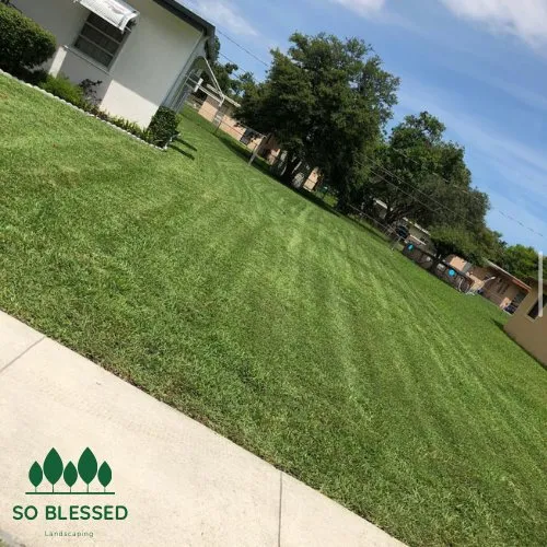 Top-rated landscaping services near you in Hollywood, FL by So Blessed Landscaping