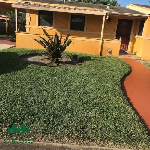 Top-rated landscape installation in Hollywood, FL by So Blessed Landscaping