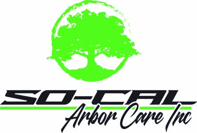 Expert landscaping services with custom design across Jurupa Valley, CA - So Cal Arbor Care