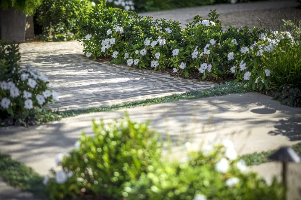 Custom yard cleanup service with custom design across Laguna Beach, CA - So-Cal Landscape & Design