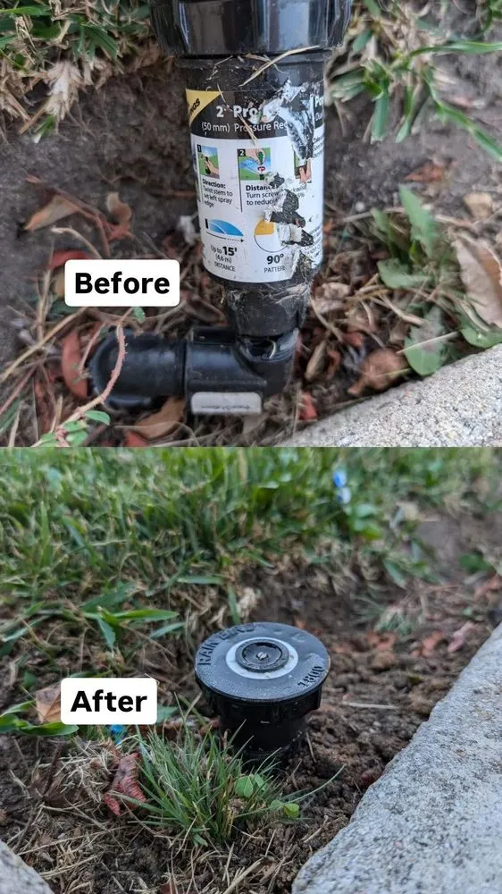Professional yard cleanup service for homes across Laguna Niguel, CA - So Cal Sprinkler