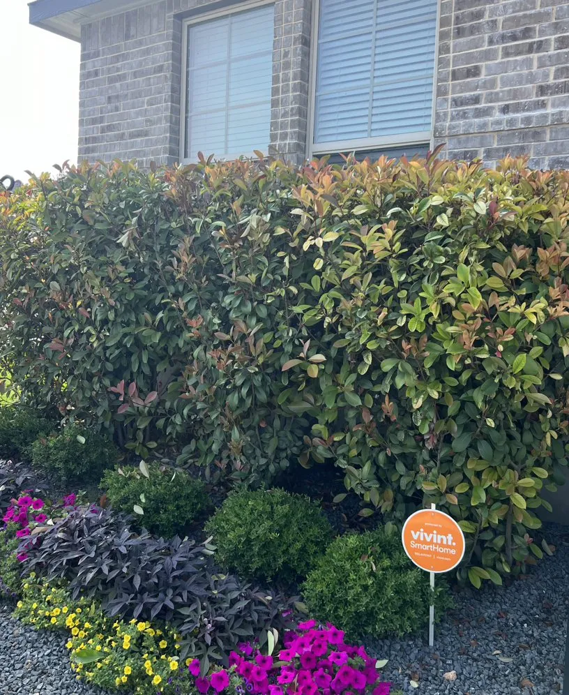 Professional garden landscaping experts serving San Antonio, TX - So Central Leaf & Brush