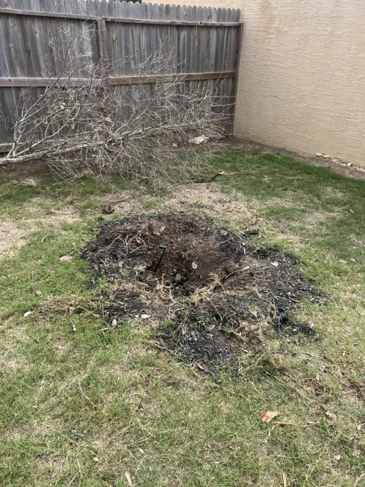 Custom residential landscaping experts serving San Antonio, TX - So Central Leaf & Brush