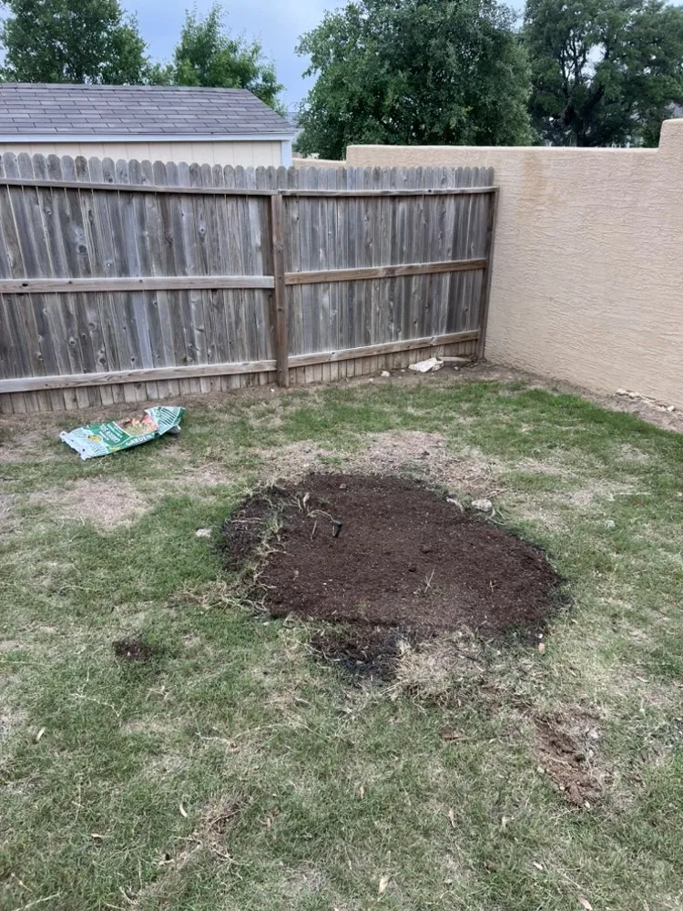 Expert lawn care service for year-round maintenance across San Antonio, TX - So Central Leaf & Brush