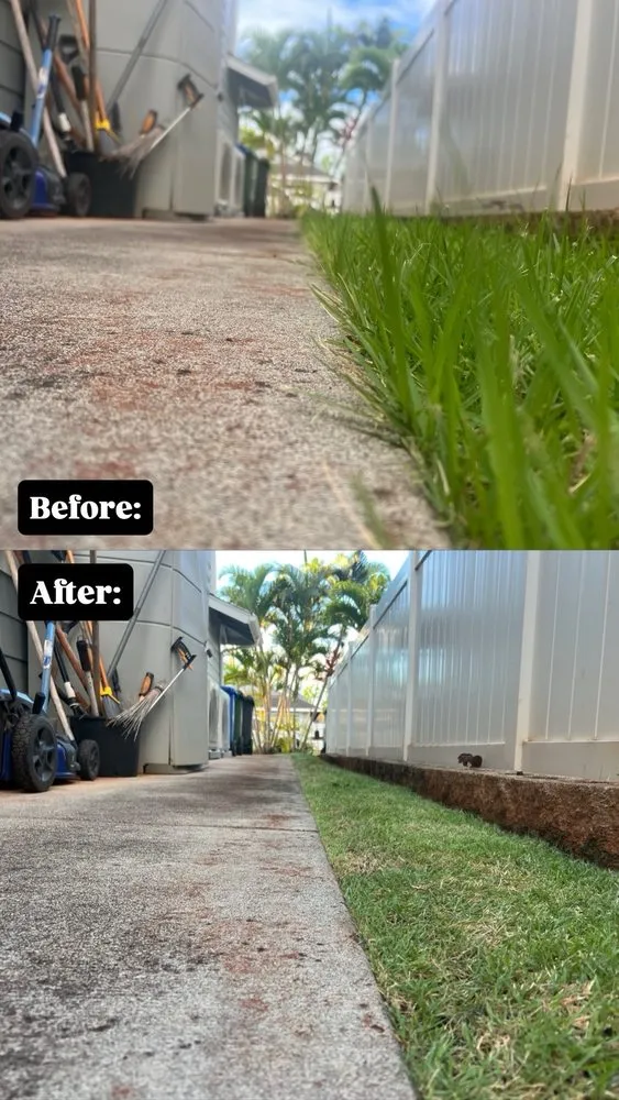 Expert yard cleanup service experts serving Waipahu, HI - So Clean Hawaii