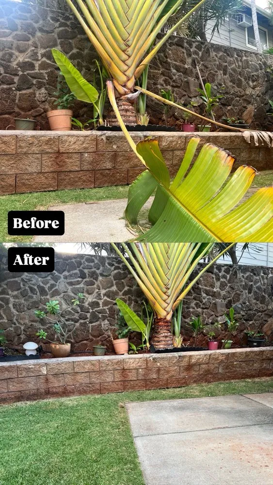 Professional garden landscaping in Waipahu, HI by So Clean Hawaii