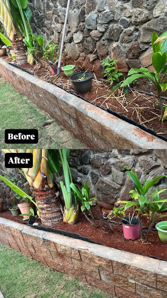 Expert yard cleanup service for residential properties in Waipahu, HI by So Clean Hawaii