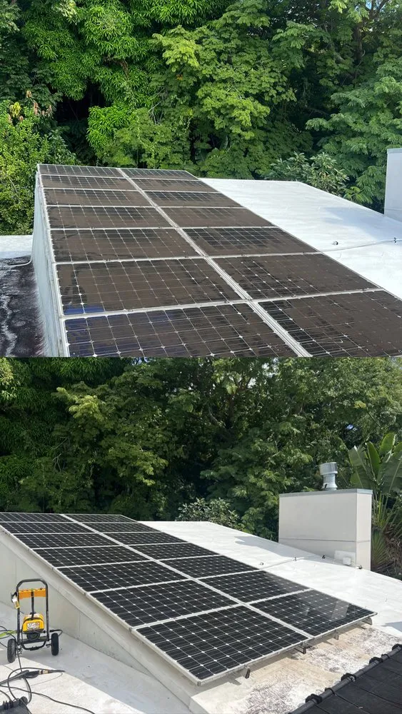 Expert yard cleanup service near you in Waipahu, HI by So Clean Hawaii