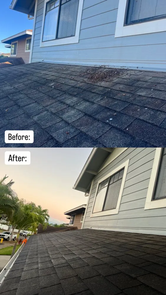 Professional residential landscaping experts serving Waipahu, HI - So Clean Hawaii