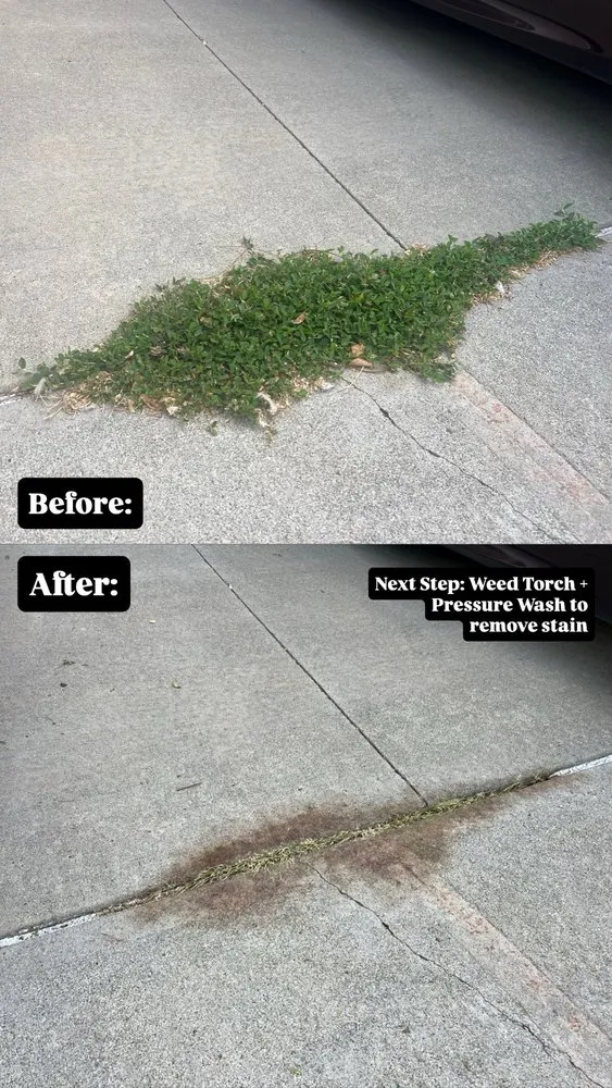 Affordable yard cleanup service experts serving Waipahu, HI - So Clean Hawaii